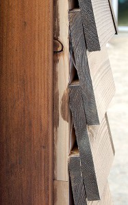 ss_DSC_1309v2